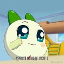 광일목장 | 1월 모음집.