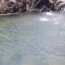 종완농장 이미지