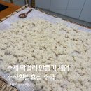 전통주 (막걸리) 제조 과정 | 건대 원데이클래스 수상한발효실 수국 수제 막걸리만들기 후기