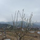 청솔농장3 이미지