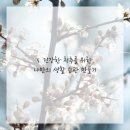 든든한척추 네이버블로그