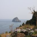 울릉예림원 Daum카페