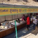 철암농산물 이미지