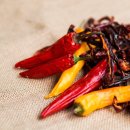 일산본내과의원 이미지