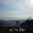 옥정사 | 부산 기장 바다가 보이는 최단 코스 옥정사 출발 달음산 정상까지의 후기글!!