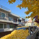 옐로카펫 | [오늘 어록]자기는 나랑 안 맞아!(날 위한 옐로 카펫😗)