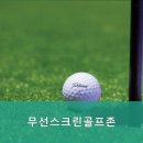 무선스크린골프존 이미지