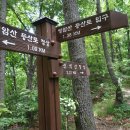 선석산 등산로 이미지