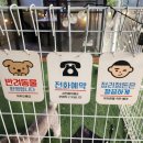 갈낙집 네이버블로그