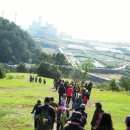 간세다리 이미지