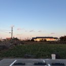 고성리-3 | 친구랑 1월 제주 2박3일 여행_2일차 (유채꽃, 제주동쪽코스, 맛집,성산일출봉 후기)