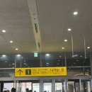 용산숲 입구 | 🐾 용산 아이파크몰 도토리숲 방문기 가는방법 위치 🌳 토토로 동전지갑 &amp; 소토토로 키링 내돈내산 후기 💸✨