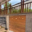 두 Y자(주말) | 🌊포천 비둘기낭폭포&amp;한탄강Y자출렁다리 여행코스