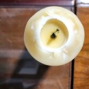 상열농장 이미지