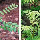 대한추어탕 이미지