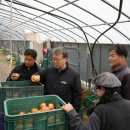 김인식농장 이미지