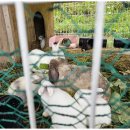 해월펜션 이미지