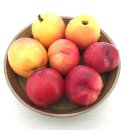 고려척척마취통증의학과의원 이미지