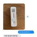 한티 이미지