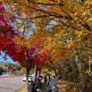 동명농장 이미지