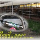 청수축산 이미지