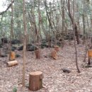 서귀포 치유의숲 이미지
