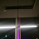 로바니코 이미지