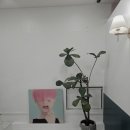 뷰티시스터