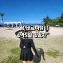 괌 태교여행 4박 5일 4일차: 남부 투어와 맛집 탐방, 쇼핑 코스