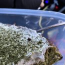 플랜비스터디 대명점 | [일상] 양양 to 속초