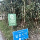 영진1길 이미지