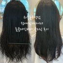 3655 | 공덕미용실 추천 차홍룸공덕점 정예린디자이너님 손상된 헤어 클리닉 룸클래식케어 솔직후기