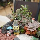 오공주농장 이미지