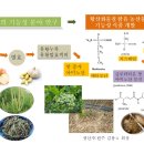 기능성 유황농산물...밥상이 보약, 건강한 먹거리 생산의 길 이미지