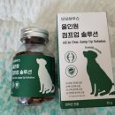 모모맘하우스 이미지