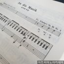 디무지크