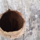 삼식농장 이미지