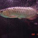 백필농장 이미지