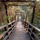 쉬리하우스 이미지