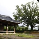 솔방솔방 이미지