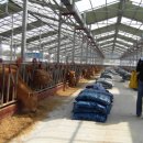 고양한우영농조합법인 이미지