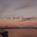 레드빅