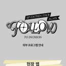 💎빛나라캐럿💎 SEVENTEEN TOUR 'FOLLOW' AGAIN TO INCHEON 오프라인 현장 달글 이미지