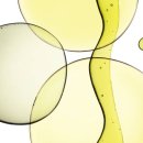 성호왁스 이미지