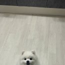 늘빛나 이미지