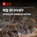 신안농장 | 제철 흰다리새우, 전남 신안군 양식장에서부터 롯데마트 제타까지 밀착취재!