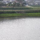 신장소류지 이미지