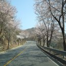 아틴 마루 이미지