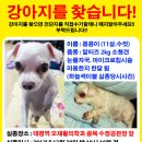 태평역 동물병원 이미지
