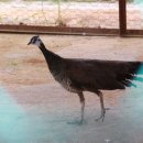 예당레이크하우스 이미지